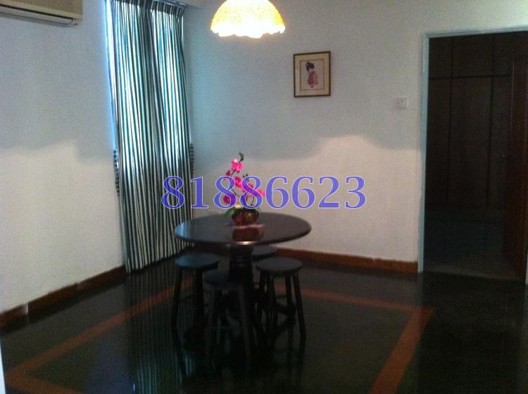 Pacific Mansion (Enbloc) (D9), Apartment #85237212